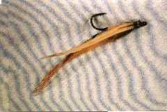K17 - Ken's LongTailed Wasp - $5
